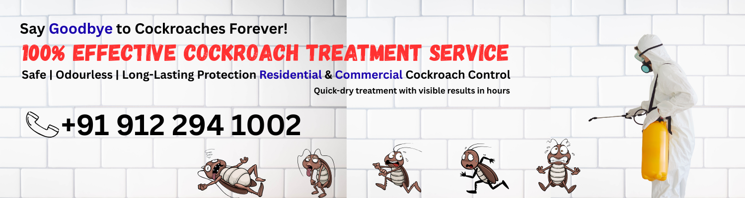 Best Cockroach Control Near Me Ranchi - Insect care pest control near me Ranchi jharkhand